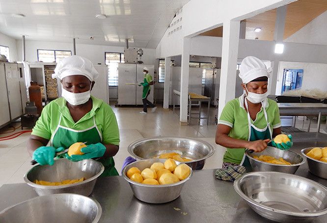 WAD - Production de fruits séchés